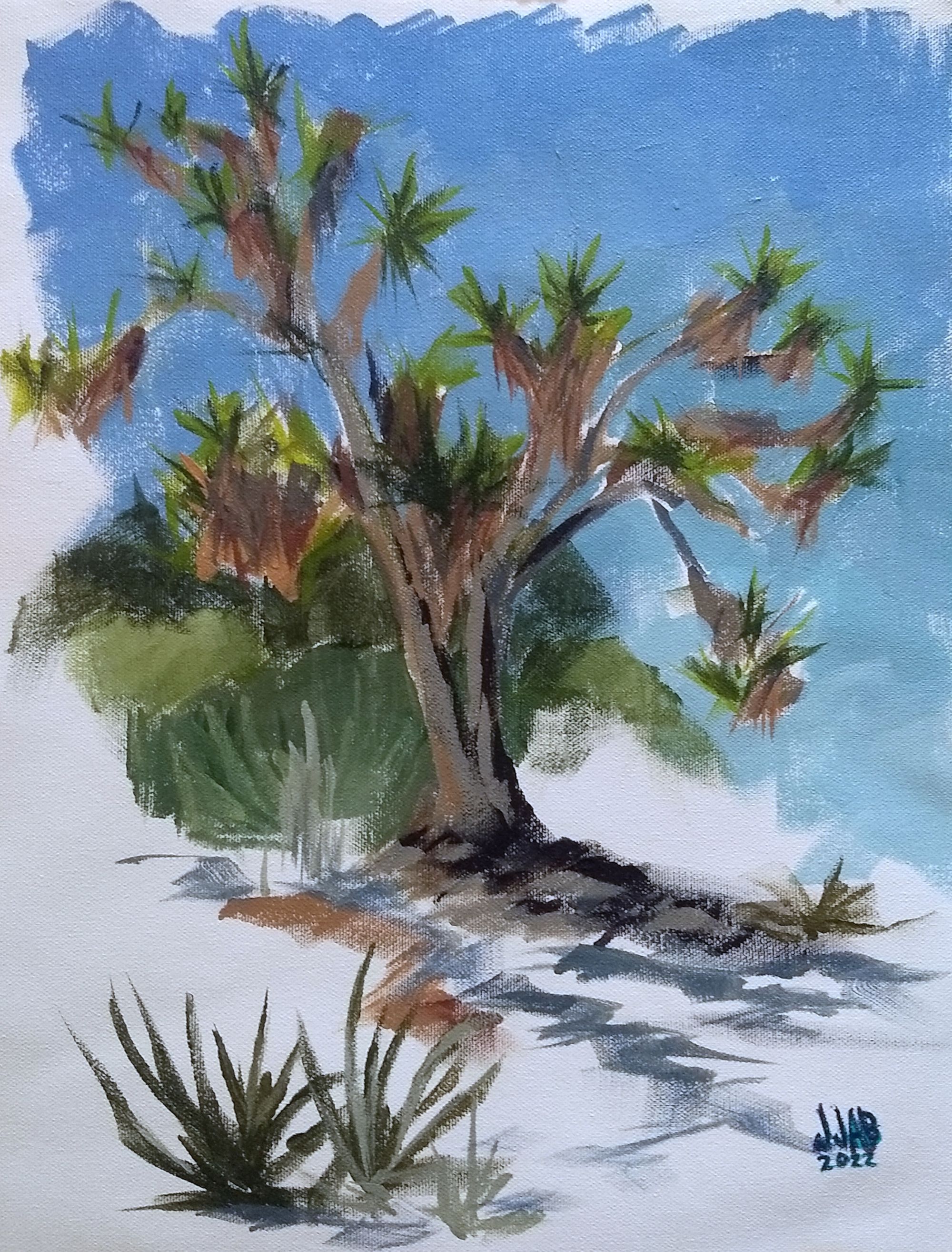 Joshua Tree